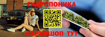 гашик Волжск