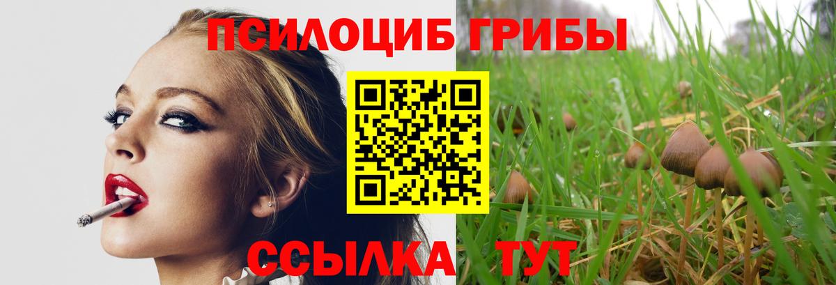 Галлюциногенные грибы Psilocybe  Вход с VPN  цены   Саров 